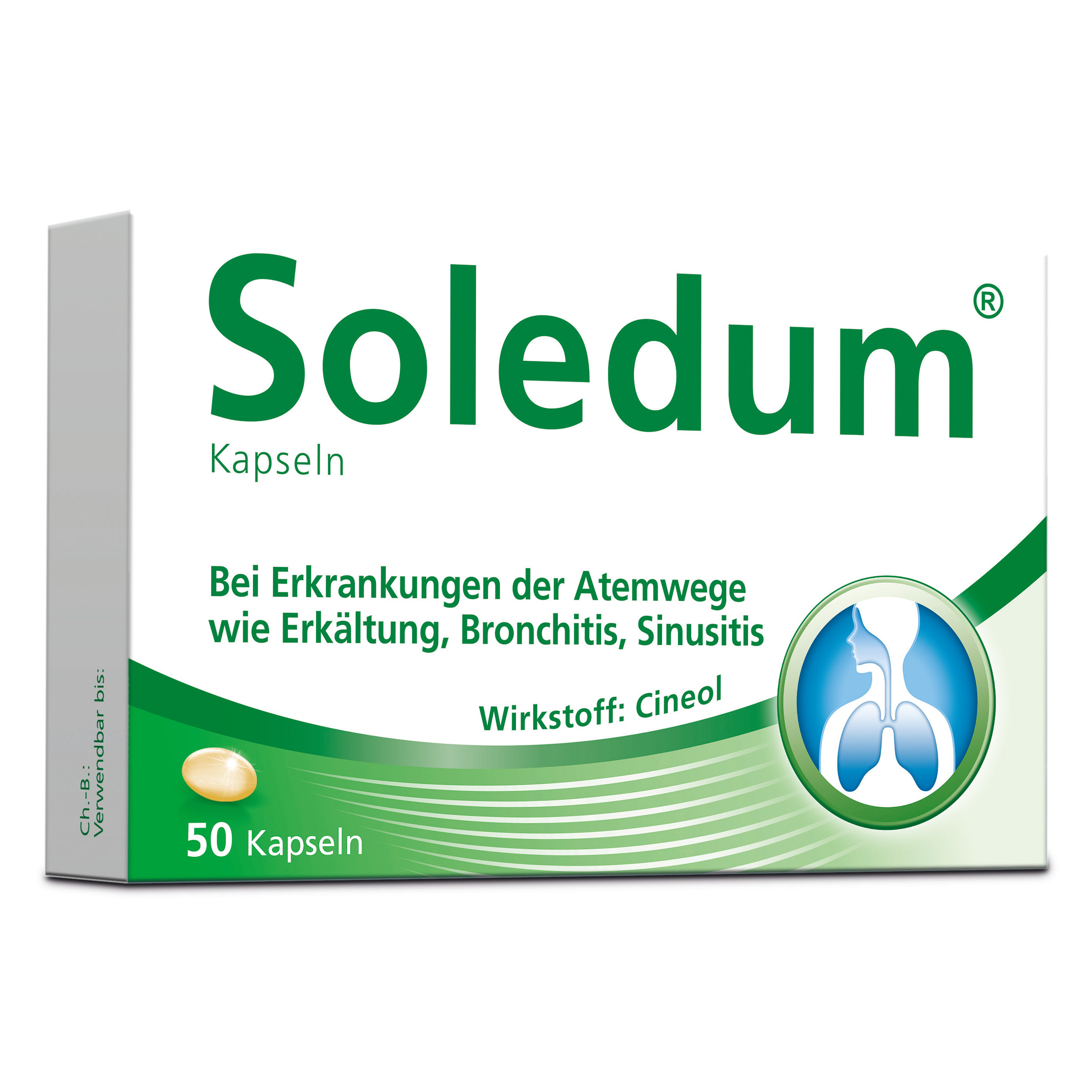 SOLEDUM 100 mg magensaftresistente Kapseln