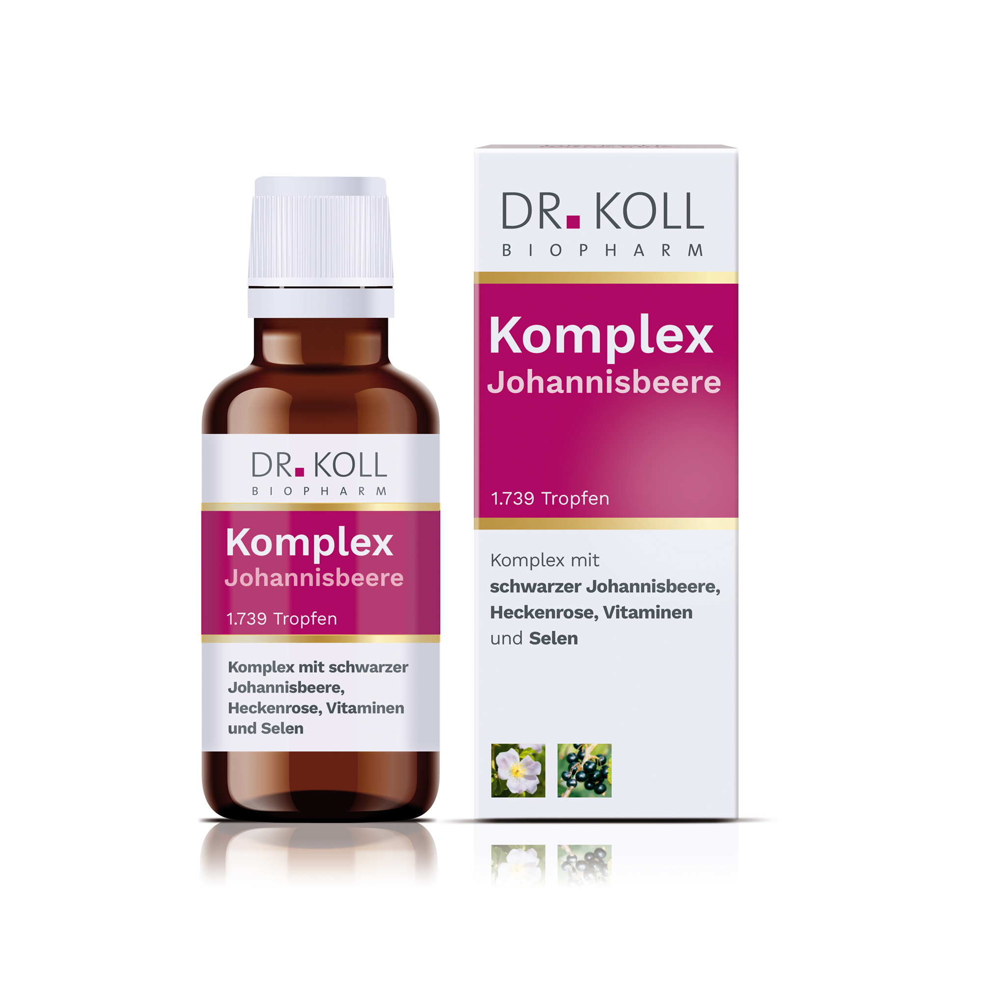 DR. KOLL BIOPHARM KOMPLEX Johannisbeere Dr.Koll Gemmo Heckenrose Tro